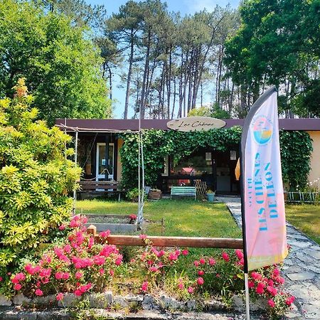 Village vacances les Chênes de Léon Exterior foto