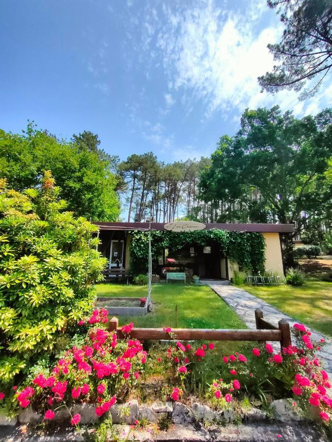 Village vacances les Chênes de Léon Exterior foto